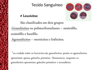 Tecido Sanguíneo

       # Leucócitos:
       São classificados em dois grupos:
.Granulócitos ou polimorfonucleares – neutrófilo,
eosinófilo e basófilo.
.Agranulócitos – monócitos e linfócitos.

*na verdade todos os leucócitos são granulócitos, porém os agranulócitos
apresentam apenas grânulos primários (lisossomos), enquanto os
granulócitos apresentam grânulos primários e secundários.
 