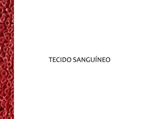 TECIDO SANGUÍNEO
 
