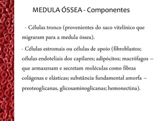 MEDULA ÓSSEA - Componentes

  - Células tronco (provenientes do saco vitelínico que
migraram para a medula óssea).
- Células estromais ou células de apoio (fibroblastos;
células endoteliais dos capilares; adipócitos; macrófagos –
que armazenam e secretam moléculas como fibras
colágenas e elásticas; substância fundamental amorfa –
preoteoglicanas, glicosaminoglicanas; hemonectina).
 