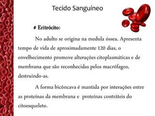 Tecido Sanguíneo

       # Eritrócito:
        No adulto se origina na medula óssea. Apresenta
tempo de vida de aproximadamente 120 dias, o
envelhecimento promove alterações citoplasmáticas e de
membrana que são reconhecidas pelos macrófagos,
destruindo-as.
        A forma bicôncava é mantida por interações entre
as proteínas da membrana e proteínas contráteis do
citoesqueleto.
 