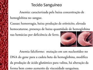 Tecido Sanguíneo
      Anemia: caracterizada pela baixa concentração de
hemoglobina no sangue.
Causas: hemorragia, baixa produção de eritrócito, elevada
hemocatarese, presença de baixa quantidade de hemoglobina
nas hemácias por deficiência de ferro.


       Anemia falciforme: mutação em um nucleotídeo no
DNA do gene para a cadeia beta da hemoglobina, modifica
da produção de ácido glutâmico para valina, há alteração da
forma bem como aumento da viscosidade sanguínea.
 