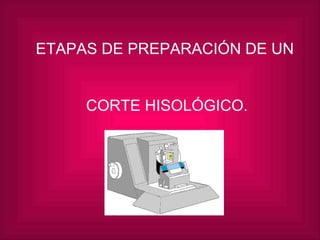 ETAPAS DE PREPARACIÓN DE UN  CORTE HISOLÓGICO. 