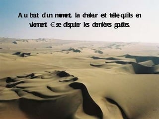 Au bout d’un moment, la chaleur est telle,   qu’ils en viennent à se disputer les dernières gouttes. 