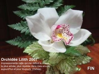 Orchidée Lilith 2007 Impressionante celle qui me définit le mieux,  la plus aimée, plus répétée dans mes envois,  aujourd'hui et pour toujours. (Oshea)  FIN 