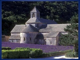 Histoire de la_lavande