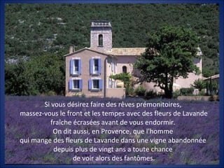 Si vous désirez faire des rêves prémonitoires,
massez-vous le front et les tempes avec des fleurs de Lavande
          fraîche écrasées avant de vous endormir.
           On dit aussi, en Provence, que l'homme
qui mange des fleurs de Lavande dans une vigne abandonnée
           depuis plus de vingt ans a toute chance
                  de voir alors des fantômes.
 