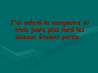 J'ai enlevé la mangeoire et trois jours plus tard les oiseaux étaient partis.  