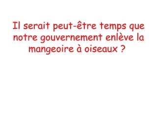 Il serait peut-être temps que notre gouvernement enlève la mangeoire à oiseaux ?   