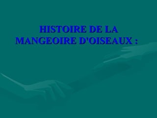 HISTOIRE DE LA MANGEOIRE D'OISEAUX :   