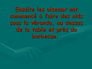 Ensuite les oiseaux ont commencé à faire des nids sous la véranda, au dessus de la table et près du barbecue.  
