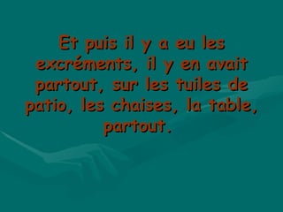 Et puis il y a eu les excréments, il y en avait partout, sur les tuiles de patio, les chaises, la table, partout.  