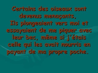 Certains des oiseaux sont devenus menaçants,  Ils plongeaient vers moi et essayaient de me piquer avec leur bec, même si j'étais celle qui les avait nourris en payant de ma propre poche.  