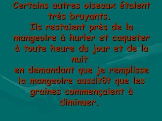 Certains autres oiseaux étaient très bruyants.  Ils restaient près de la mangeoire à hurler et caqueter à toute heure du jour et de la nuit  en demandant que je remplisse la mangeoire aussitôt que les graines commençaient à diminuer.  