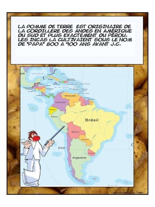 Histoire De Patate