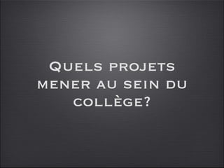 Quels projets mener au sein du collège? 