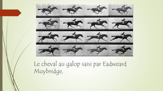 Le cheval au galop saisi par Eadweard
Muybridge.
 