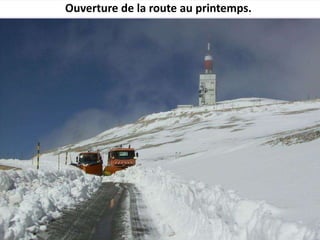 Histoire du mont_ventoux131-2