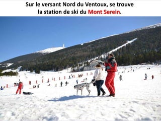Histoire du mont_ventoux131-2