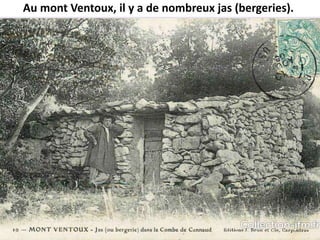 Histoire du mont_ventoux131-2