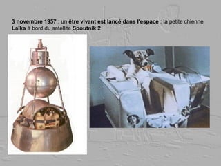 3 novembre 1957 : un être vivant est lancé dans l'espace : la petite chienne
Laïka à bord du satellite Spoutnik 2
 