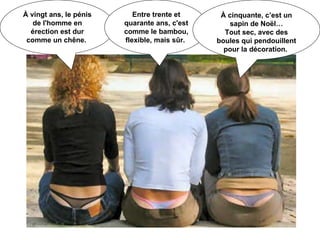 À vingt ans, le pénis de l'homme en érection est dur comme un chêne.  Entre trente et quarante ans, c'est comme le bambou, flexible, mais sûr.  À cinquante, c’est un sapin de Noël… Tout sec, avec des boules qui pendouillent pour la décoration.    