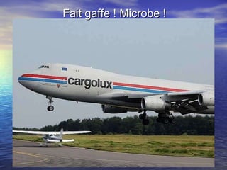 Fait gaffe ! Microbe ! 