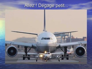 Allez ! Dégage petit... 