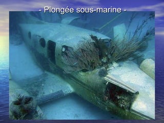 - Plongée sous-marine - 