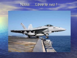 Naaa…..Lève le nez ! 