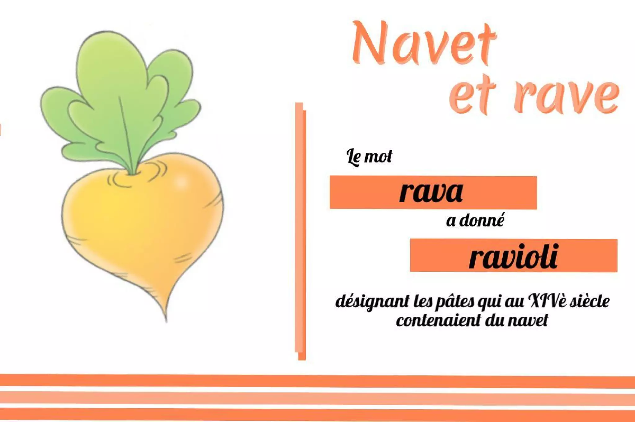 Histoires de légumes : informations sur les légumes