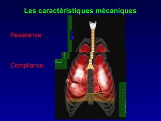 Résistance Compliance Les caractéristiques mécaniques 