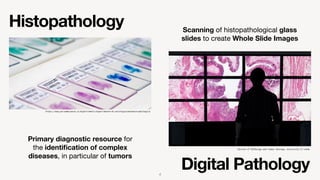 Python For Pathology Histolab: an Open Source Python Library for Reproducible Digital ...