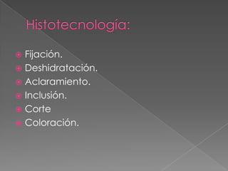  Fijación.
 Deshidratación.
 Aclaramiento.
 Inclusión.
 Corte
 Coloración.
 