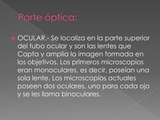  OCULAR.- Se localiza en la parte superior
del tubo ocular y son las lentes que
Capta y amplia la imagen formada en
los objetivos. Los primeros microscopios
eran monoculares, es decir, poseían una
sola lente. Los microscopios actuales
poseen dos oculares, uno para cada ojo
y se les llama binoculares.
 