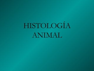 HISTOLOGÍA ANIMAL 