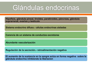 Hipofisis, glándula pineal, tiroides, paratiroides, páncreas, glándula
suprarrenal, ovarios y testículo
Sistema endocrino difuso.- células endocrinas aisladas
Carencia de un sistema de conductos excretores
Abundante vascularización
Regulación de la secreción.- retroalimentación negativa
El aumento de la sustancia en la sangre actúa en forma negativa sobre la
glándula endocrina inhibiendo la liberacion
 