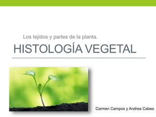 HISTOLOGÍA VEGETAL
Los tejidos y partes de la planta.
Carmen Campos y Andrea Cabeo
 