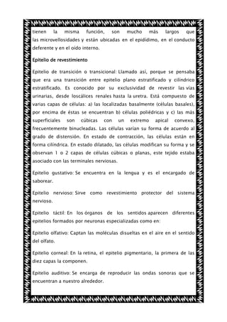 tienen

la

misma

función,

son

mucho

más

largos

que

las microvellosidades y están ubicadas en el epidídimo, en el conducto
deferente y en el oído interno.
Epitelio de revestimiento
Epitelio de transición o transicional: Llamado así, porque se pensaba
que era una transición entre epitelio plano estratificado y cilíndrico
estratificado. Es conocido por su exclusividad de revestir las vías
urinarias, desde loscálices renales hasta la uretra. Está compuesto de
varias capas de células: a) las localizadas basalmente (células basales),
por encima de éstas se encuentran b) células poliédricas y c) las más
superficiales

son

cúbicas

con

un

extremo

apical

convexo,

frecuentemente binucleadas. Las células varían su forma de acuerdo al
grado de distensión. En estado de contracción, las células están en
forma cilíndrica. En estado dilatado, las células modifican su forma y se
observan 1 o 2 capas de células cúbicas o planas, este tejido estaba
asociado con las terminales nerviosas.
Epitelio gustativo: Se encuentra en la lengua y es el encargado de
saborear.
Epitelio nervioso: Sirve como revestimiento protector del sistema
nervioso.
Epitelio táctil: En los órganos de los sentidos aparecen diferentes
epitelios formados por neuronas especializadas como en:
Epitelio olfativo: Captan las moléculas disueltas en el aire en el sentido
del olfato.
Epitelio corneal: En la retina, el epitelio pigmentario, la primera de las
diez capas la componen.
Epitelio auditivo: Se encarga de reproducir las ondas sonoras que se
encuentran a nuestro alrededor.

 