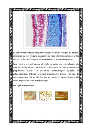La denominación tejido conjuntivo agrupa diversos subtipos de tejidos;
entendido así (sin ninguna aclaración) se hace referencia entonces a "los
tejidos conjuntivos" en general, especializados y no especializados.
Para referirse exclusivamente al tejido conectivo no especializado, sin
caer en ambigüedades, se utiliza la denominación "tejido conjuntivo
propiamente

dicho".

Se

denomina

también tejido

adiposo

en

cefalorraquídeo. El tejido conectivo propiamente dicho es un tipo de
tejido conectivo ubicuo, de función más general, menos diferenciado
desde el punto de vista histofisiológico.
Los tejidos conjuntivos

 