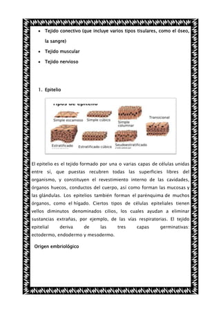 Tejido conectivo (que incluye varios tipos tisulares, como el óseo,
la sangre)
Tejido muscular
Tejido nervioso

1. Epitelio

El epitelio es el tejido formado por una o varias capas de células unidas
entre sí, que puestas recubren todas las superficies libres del
organismo, y constituyen el revestimiento interno de las cavidades,
órganos huecos, conductos del cuerpo, así como forman las mucosas y
las glándulas. Los epitelios también forman el parénquima de muchos
órganos, como el hígado. Ciertos tipos de células epiteliales tienen
vellos diminutos denominados cilios, los cuales ayudan a eliminar
sustancias extrañas, por ejemplo, de las vías respiratorias. El tejido
epitelial

deriva

de

las

ectodermo, endodermo y mesodermo.
Origen embriológico

tres

capas

germinativas:

 