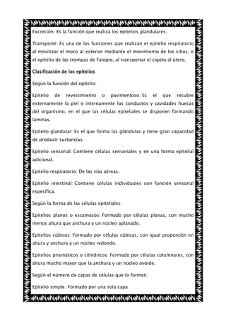 Excreción: Es la función que realiza los epitelios glandulares.
Transporte: Es una de las funciones que realizan el epitelio respiratorio
al movilizar el moco al exterior mediante el movimiento de los cilios, o
el epitelio de las trompas de Falopio, al transportar el cigoto al útero.
Clasificación de los epitelios
Según la función del epitelio:
Epitelio

de

revestimiento

o

pavimentoso: Es

el

que

recubre

externamente la piel o internamente los conductos y cavidades huecas
del organismo, en el que las células epiteliales se disponen formando
láminas.
Epitelio glandular: Es el que forma las glándulas y tiene gran capacidad
de producir sustancias.
Epitelio sensorial: Contiene células sensoriales y en una forma epitelial
adicional.
Epitelio respiratorio: De las vías aéreas.
Epitelio intestinal: Contiene células individuales con función sensorial
específica.
Según la forma de las células epiteliales:
Epitelios planos o escamosos: Formado por células planas, con mucho
menos altura que anchura y un núcleo aplanado.
Epitelios cúbicos: Formado por células cúbicas, con igual proporción en
altura y anchura y un núcleo redondo.
Epitelios prismáticos o cilíndricos: Formado por células columnares, con
altura mucho mayor que la anchura y un núcleo ovoide.
Según el número de capas de células que lo formen:
Epitelio simple. Formado por una sola capa

 