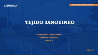 TEJIDO SANGUINEO
MORFOFISIOLOGÍA GENERAL
ROTACIÓN FISIOLOGÍA
SESIÓN 7
2023- 0
 