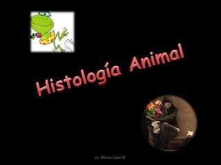 Histología Animal Lic. Mónica López M. 