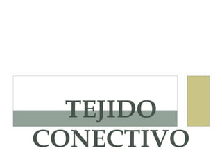 TEJIDO
CONECTIVO
 