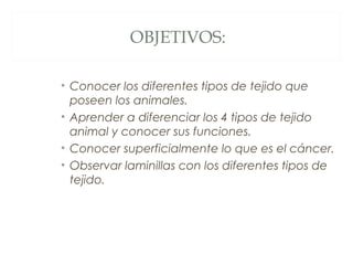 OBJETIVOS:
• Conocer los diferentes tipos de tejido que
poseen los animales.
• Aprender a diferenciar los 4 tipos de tejido
animal y conocer sus funciones.
• Conocer superficialmente lo que es el cáncer.
• Observar laminillas con los diferentes tipos de
tejido.
 