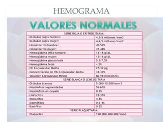 HEMOGRAMA
 