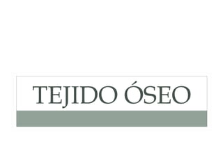 TEJIDO ÓSEO
 