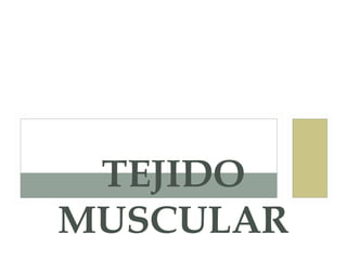 TEJIDO
MUSCULAR
 