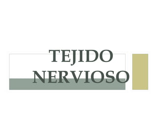 TEJIDO
NERVIOSO
 