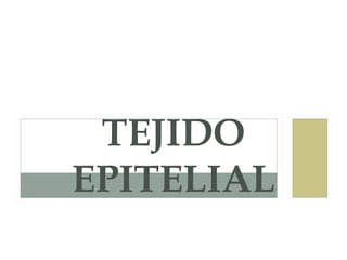 TEJIDO
EPITELIAL
 
